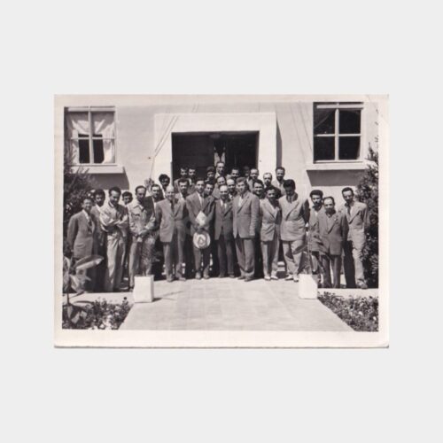 orman-muhendisleri
