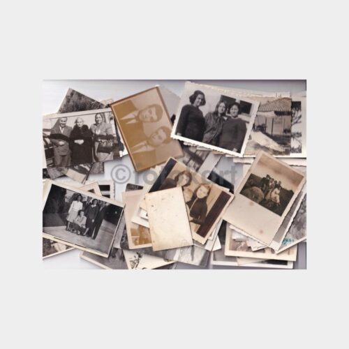 album-foto-lot