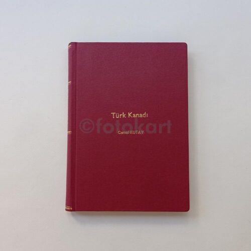 Türk Kanadı - Cemal Kutay (Havacılık Röportajları, 1936-1938)