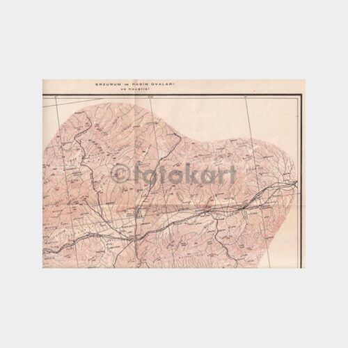 erzurum-harita