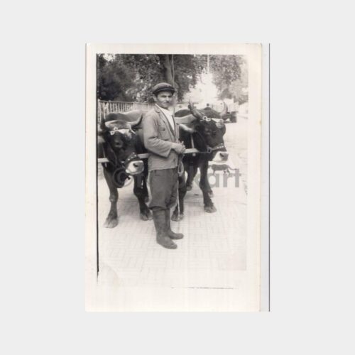 1969 Anadolu Manda Kağnı Arabası Konulu Fotoğraf
