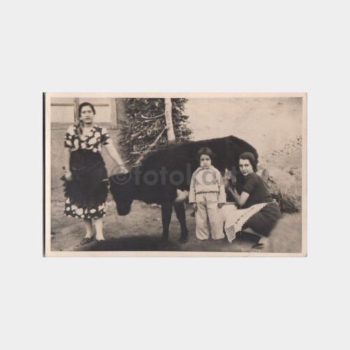 1930 Anadolu Köy Yaşamı Konulu Fotoğraf