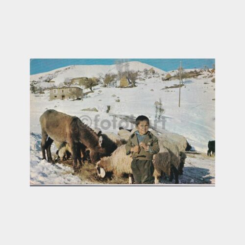anadolu