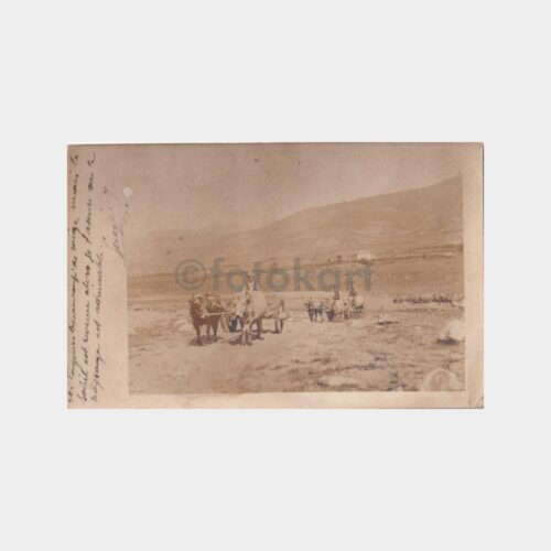 anadolu-koy-yasam-02