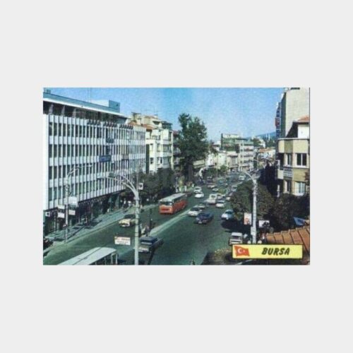bursa-gorunus