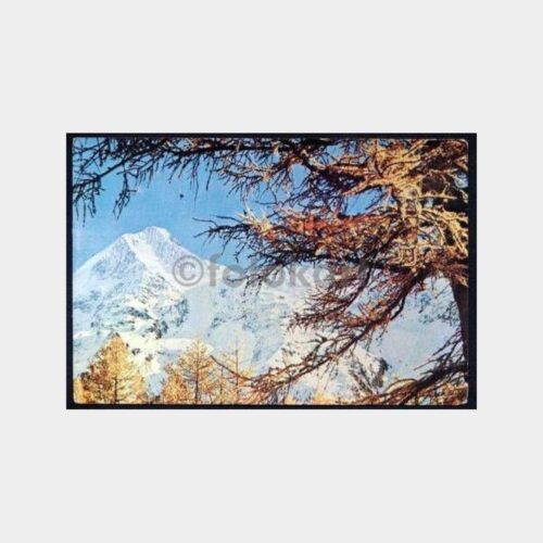 Bursa Uludağ  Özel Posta Damgalı Kartpostal