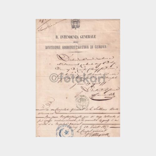 cenova_belge-01