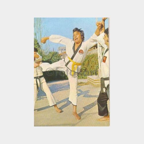 Cüneyt Arkın Karate Yaparken Kartpostal