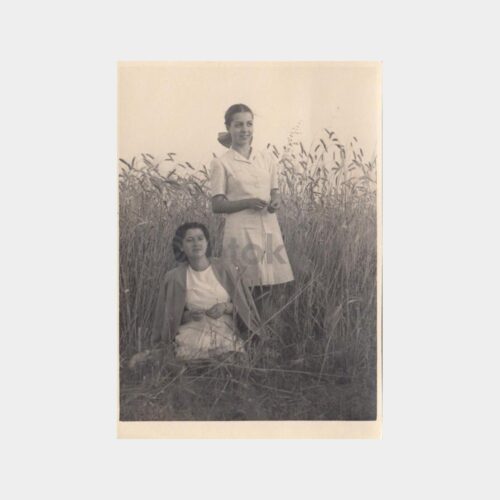 1950 Buğday Başakları Kadınlar Fotoğraf