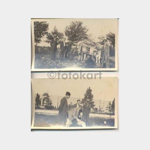 Koyun ve İneklerle Poz Veren Beyefendiler 2 Fotoğraf