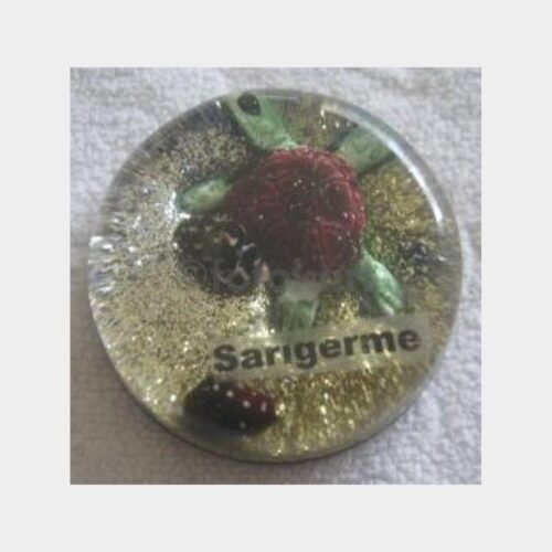magnet-sarigerme