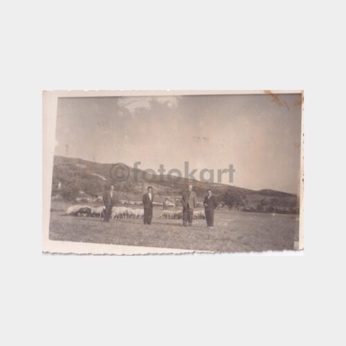 sakarya-kuzuluk