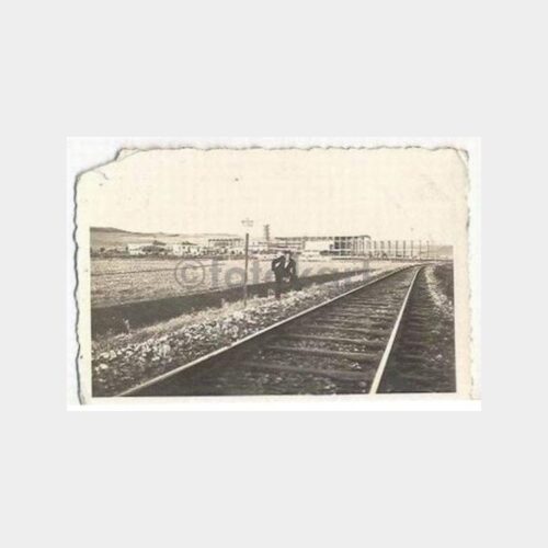 sivas_tren