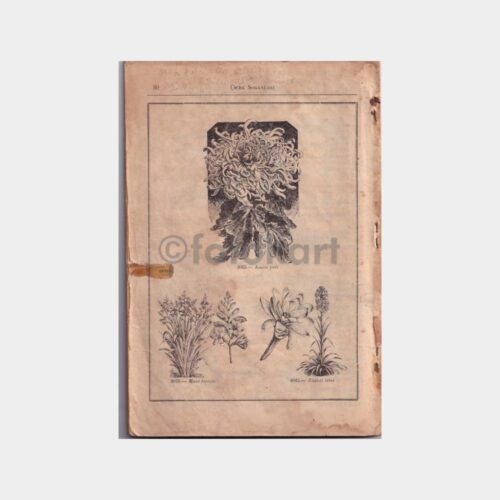 tohum-katalog_2