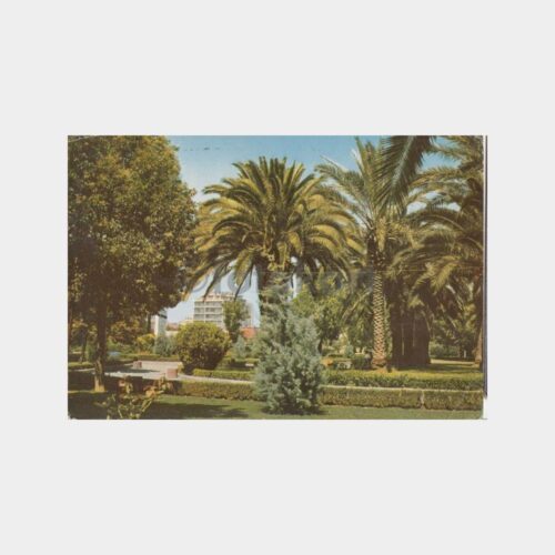1970 Adana Park Görünüşü Kartpostal