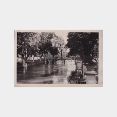 adapazari-cark