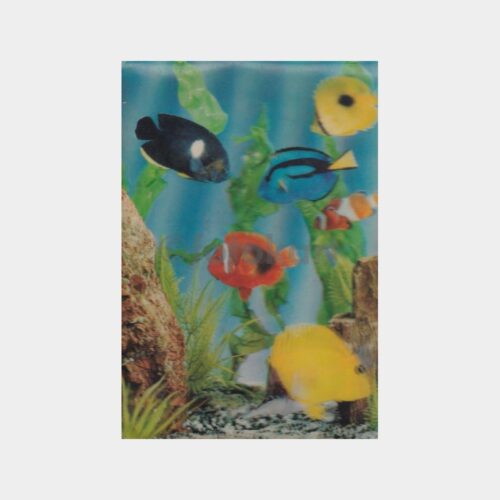 akvaryum-3d