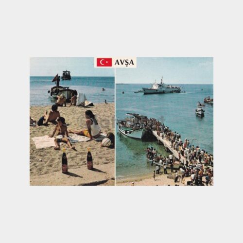 avsa-adasi