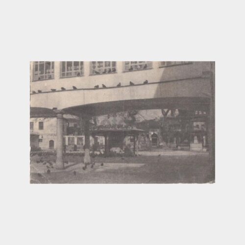 1950 Eyüp Camii Avlusu Konulu Kartpostal