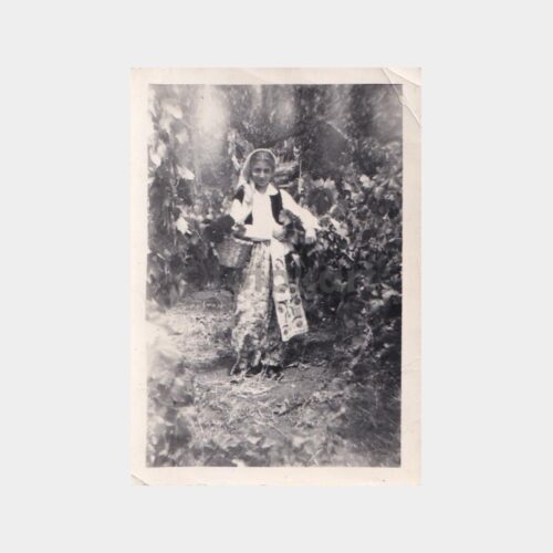 okul-musamere