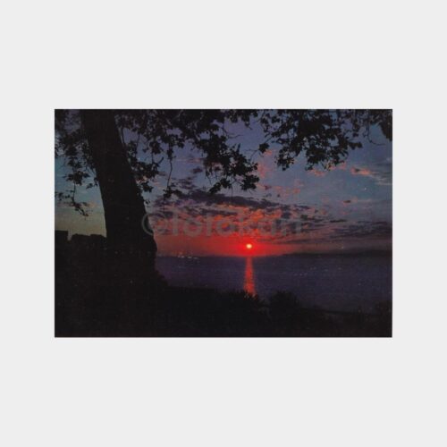 sahil-gurub