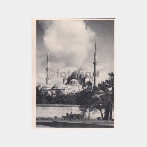 tasvir-beyazit