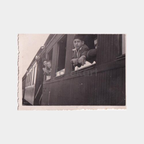 tren-vagon