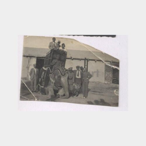 Fil Arabası Konulu Eski Gezi Fotoğraf