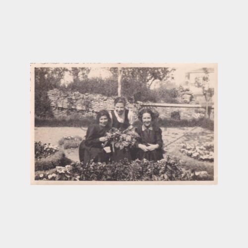 capa-ogretmen