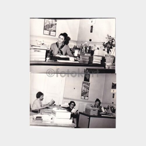 denizyollari-isletmesi