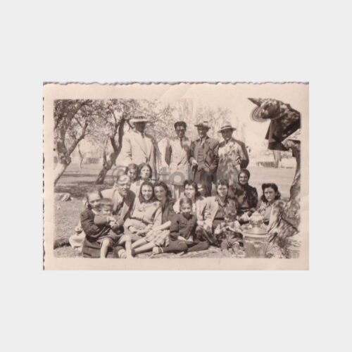 igdir-hidirellez
