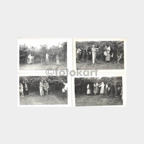 Karadeniz Fındık Harman Yeri Görünüş 5 Fotoğraf