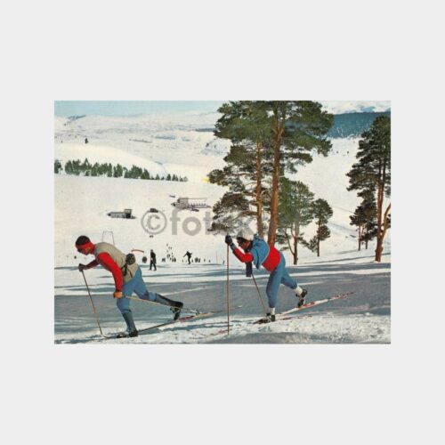 1974 Kars Sarıkamış Kayakçılar Konulu Kartpostal
