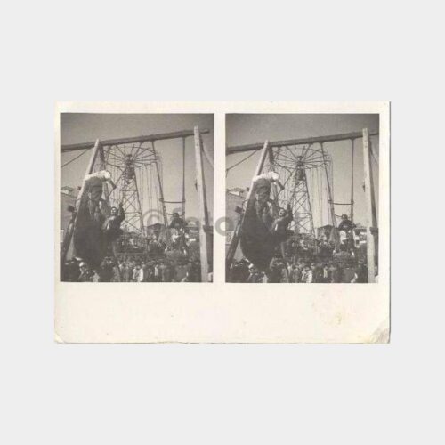 Lunaparkta Oynayan Çocuklar İkili Fotoğraf