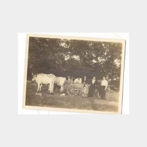 Polonezköy Grup Fotoğraf