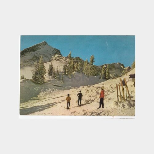 1975 Uludağ Kayakçılar Görünüş Kartpostal