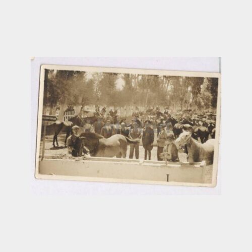 1935 At Pazarı veya Harası Görünüş Fotoğraf