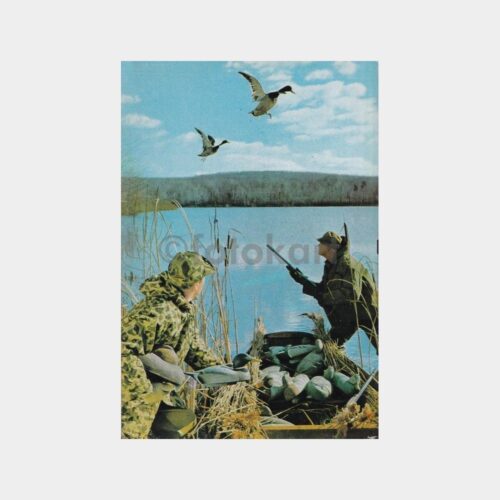 av-avcilik-06