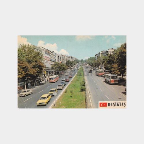 besiktas-barbaros