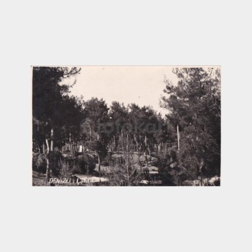 denizli-camlik