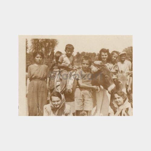 1950 Eşekli Gezi Grup Görünüş Fotoğraf