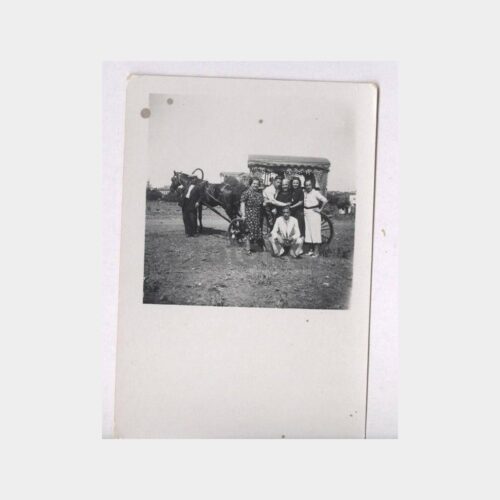 1930 İstanbul Fayton Görünüş Fotoğraf