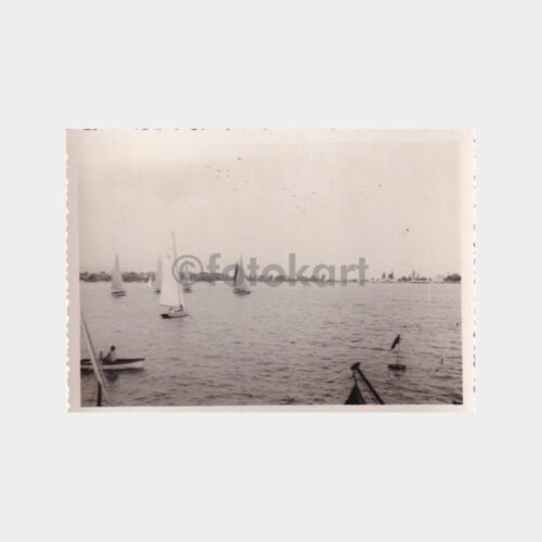 fenerbahce-yelkenli-lot_2