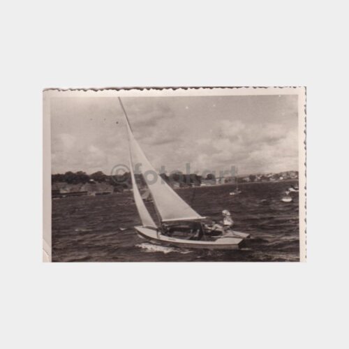 fenerbahce-yelkenli-lot_3