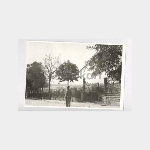 İstanbul Maçka Parkı Görünüşü Fotoğraf