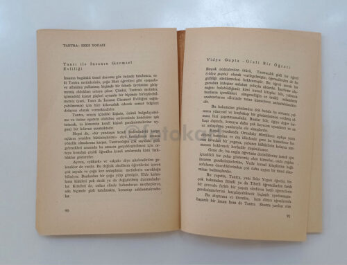 Gizemciler ve Seks, Seks Yazıları - Görsel 3