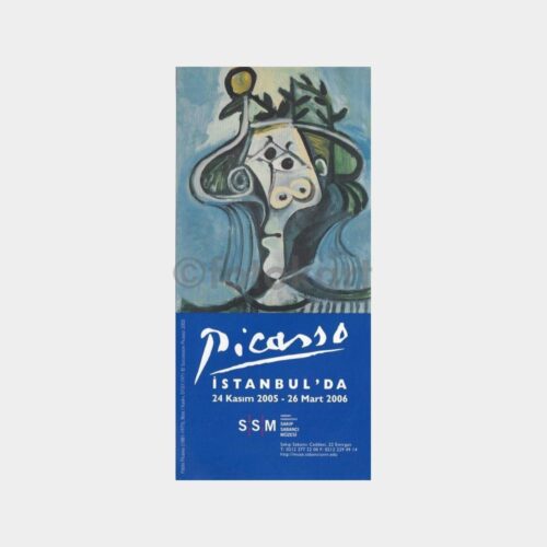 ssm-picasso