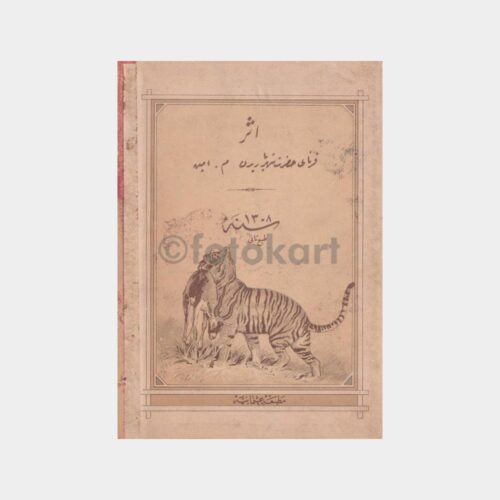 avcilik-kaplan