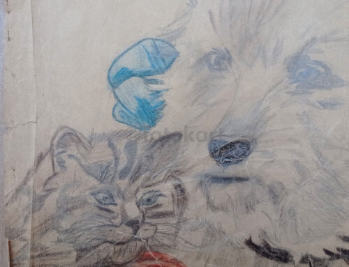 Nurdan İsimli Ressam-Sanatçı Çalışması - Köpek ve Kedi - Görsel 3