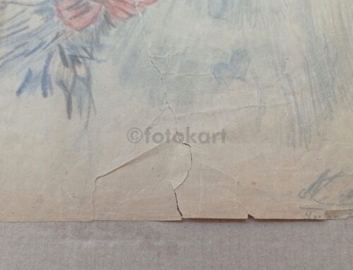Nurdan İsimli Ressam-Sanatçı Çalışması - Köpek ve Kedi - Görsel 5